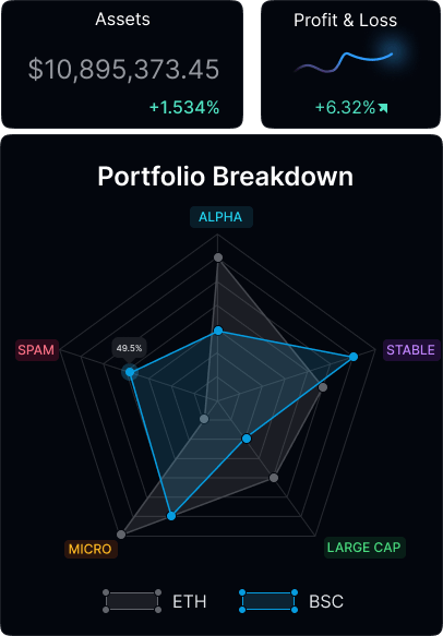 Wallet Portfolio AI Analaysis